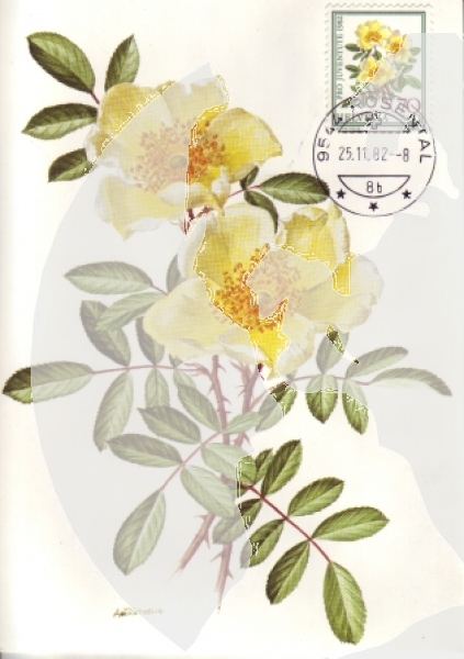 CH MC 1236 / 1240 ● - 1982